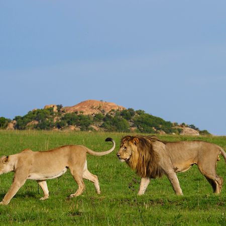 Nkomazi Game Reserve By Newmark Badplaas Εξωτερικό φωτογραφία