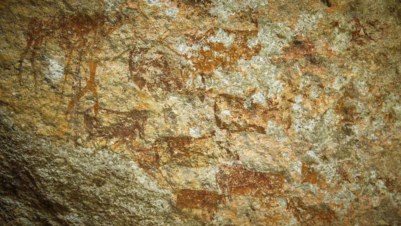 Nkomazi Game Reserve By Newmark Badplaas Εξωτερικό φωτογραφία