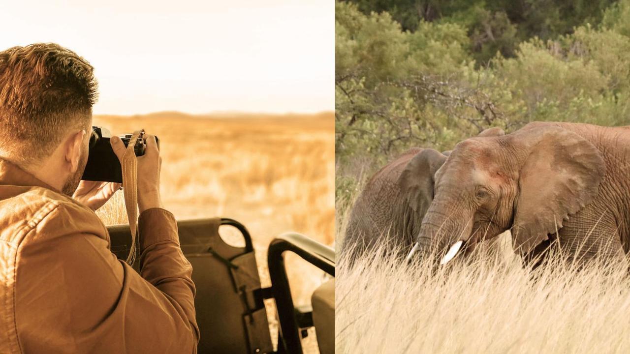 Nkomazi Game Reserve By Newmark Badplaas Εξωτερικό φωτογραφία