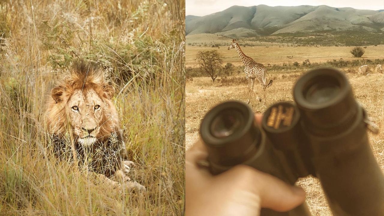 Nkomazi Game Reserve By Newmark Badplaas Εξωτερικό φωτογραφία