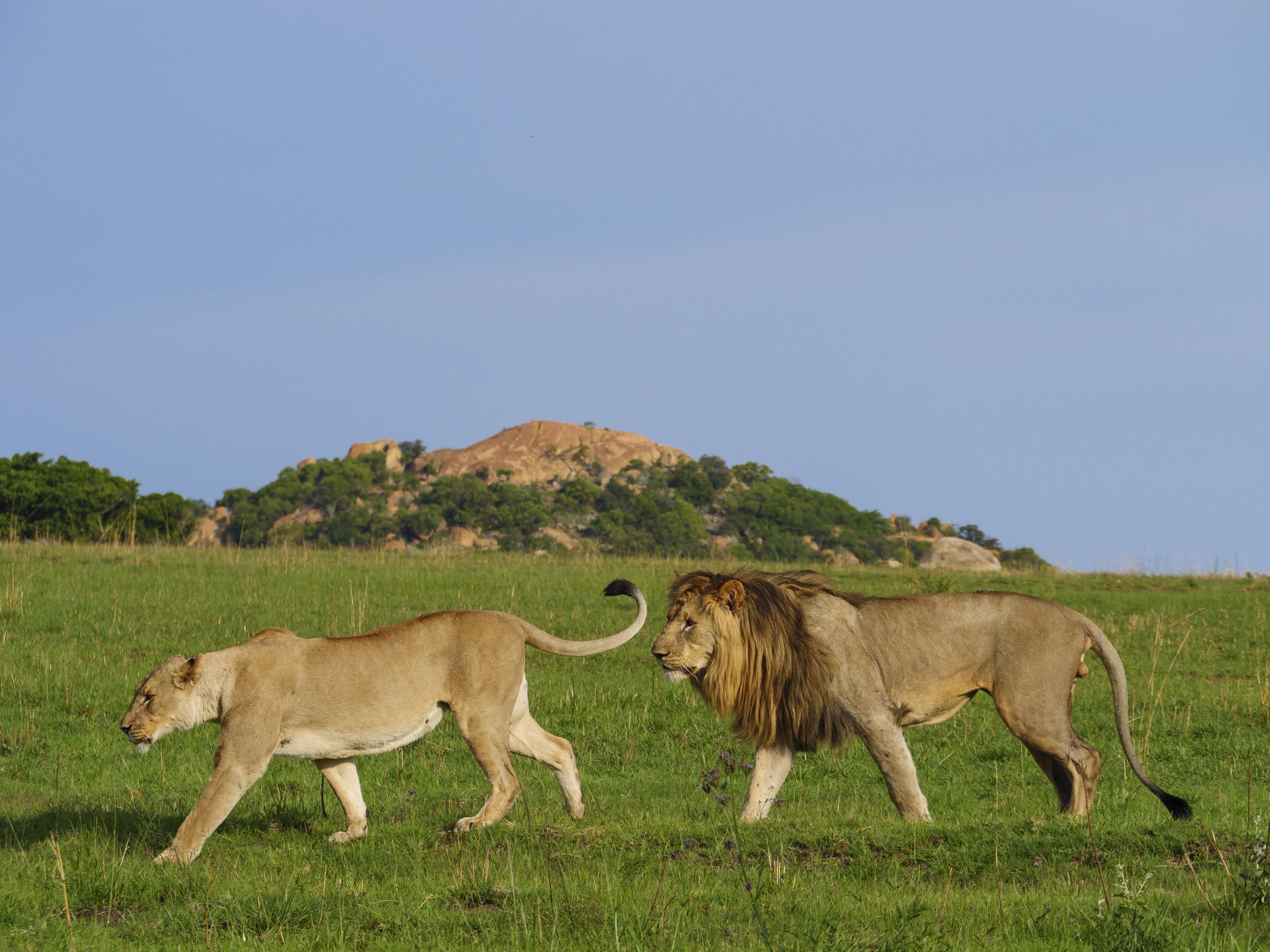 Nkomazi Game Reserve By Newmark Badplaas Εξωτερικό φωτογραφία