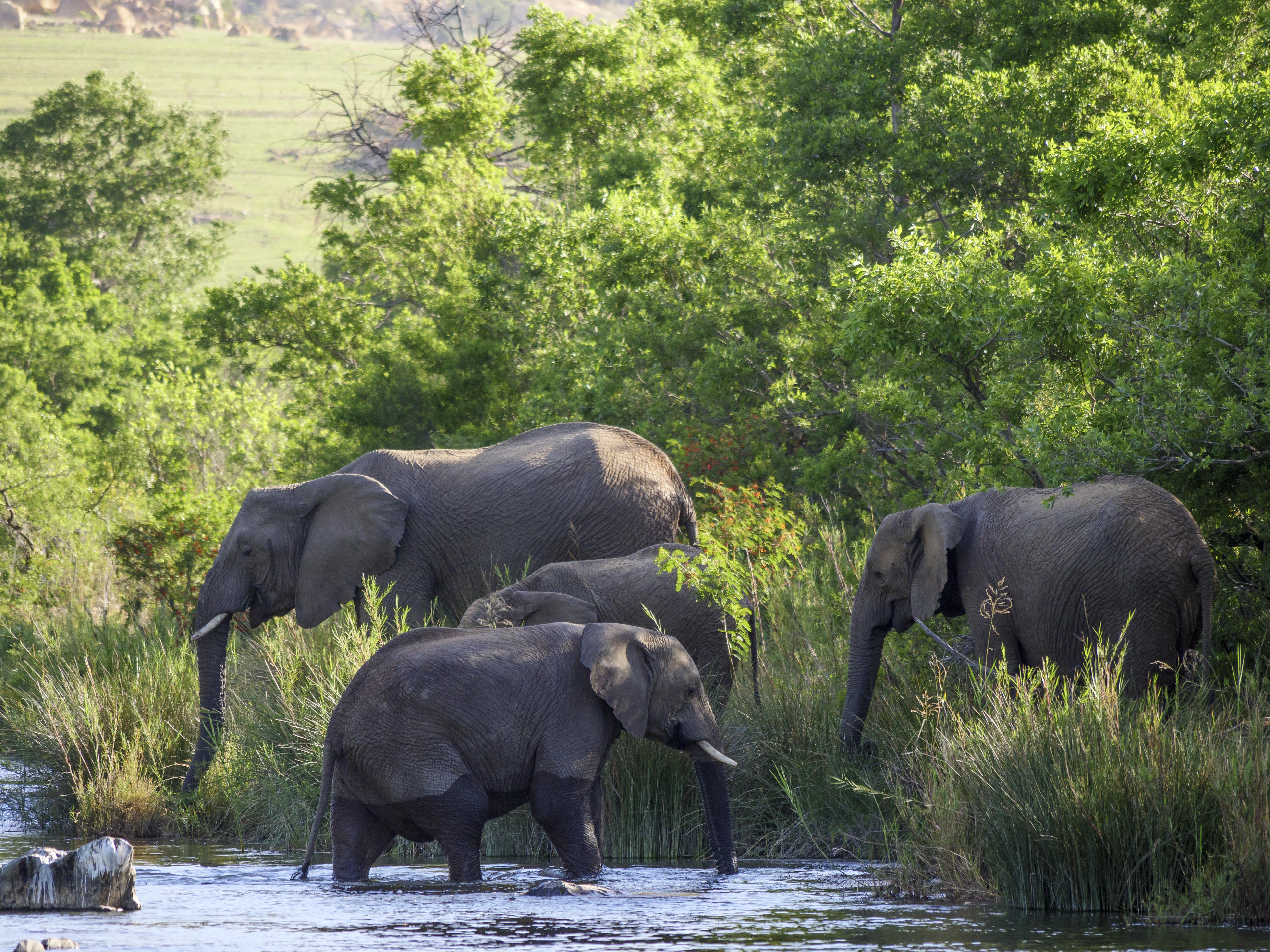 Nkomazi Game Reserve By Newmark Badplaas Εξωτερικό φωτογραφία